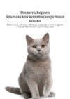 Британская короткошерстная кошка. Воспитание, питание, обучение, характер и многое другое о породе британская короткошерстная