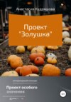 Проект «Золушка»