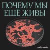 Назовите все свои половые контакты: почему мы не можем уничтожить сифилис