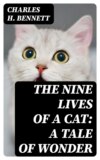 The Nine Lives of A Cat: A Tale of Wonder