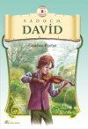 Sadəcə David