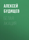 Белая акация