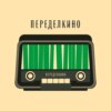 Переделкинский Пенал. Пилот. Февраль’22