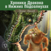 Хроники Дракона в Нижних Подсолнухах