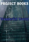 Wonderful World