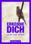 Erkenne Dich   Folge dem Falken