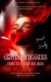 Erotic Impressions