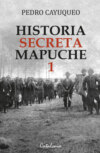 Historia secreta mapuche 1