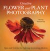 Creative Flower and Plant Photography