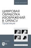 Обработка изображений с помощью OpenCV. Практикум. Учебное пособие для вузов