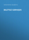 Biletsiz sərnişin