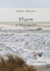 Sturm in Moordevitz