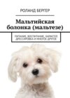 Мальтийская болонка (мальтезе). Питание, воспитание, характер, дрессировка и многое другое