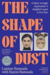 The Shape of Dust