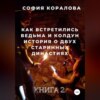 Как встретились ведьма и колдун. Книга 2