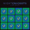 №717: Night Crickets, Isfar Sarabski, Best Coast, Automat и Sam Lee