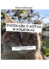 Рассказы о котах и кошечках. Забавные случаи из жизни животных