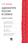 Адвокатура России в схемах