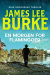 En morgen for flamingoer