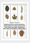 MORPHOLOGICAL AND ANATOMICAL VARIATIONS OF LEAVES IN SELECTED TAXA FROM THE FAMILY MORACEAE AND THEIR TAXONOMICAL IMPORTANCE