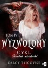 Wyzwolony. Cykl Idealnie nieidealni Tom 4