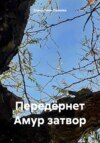 Передёрнет Амур затвор