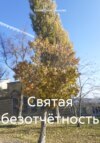 Святая безотчётность