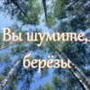 "Вы шумите, берёзы" - кто сочинил хит ансамбля "Сябры"?