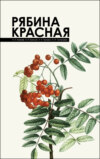 Рябина красная