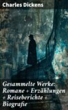 Gesammelte Werke: Romane + Erzählungen + Reiseberichte + Biografie