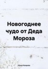 Новогоднее чудо от Деда Мороза