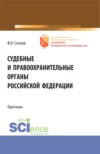 Судебные и правоохранительные органы Российской Федерации.Практикум. (Бакалавриат). Учебное пособие.