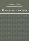 Посленовогоднее чудо