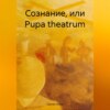 Сознание, или Рupa theatrum