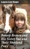 Bunny Brown and His Sister Sue and Their Shetland Pony