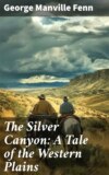 The Silver Canyon: A Tale of the Western Plains