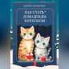 Как стать домашним котенком