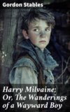 Harry Milvaine; Or, The Wanderings of a Wayward Boy