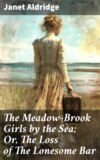 The Meadow-Brook Girls by the Sea; Or, The Loss of The Lonesome Bar