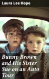 Bunny Brown and His Sister Sue on an Auto Tour