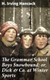 The Grammar School Boys Snowbound; or, Dick & Co. at Winter Sports