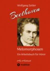 Beethoven - Melomorphosen: Früchte der Musikmeditation. Sichtbar gemachte Informationsmatrix ausgewählter Musikstücke. Gestaltwerkzeuge für Musikhörer. Ohne Verwendung von Noten/Partituren.