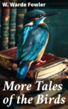 More Tales of the Birds