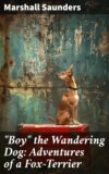 "Boy" the Wandering Dog: Adventures of a Fox-Terrier