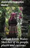 Gallant Little Wales: Sketches of its people, places and customs