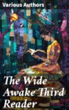 The Wide Awake Third Reader