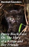 Pussy Black-Face; Or, The Story of a Kitten and Her Friends