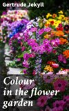 Colour in the flower garden