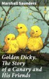 Golden Dicky, The Story of a Canary and His Friends