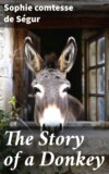 The Story of a Donkey